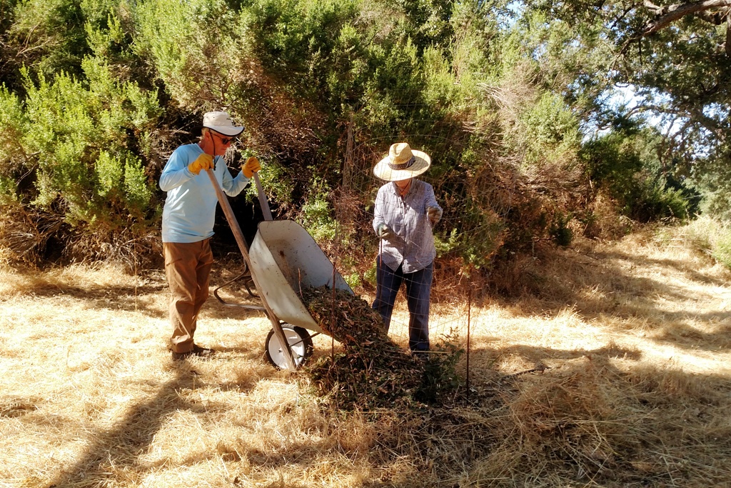 Mark and Deborah putting mulch around an oak seedling.